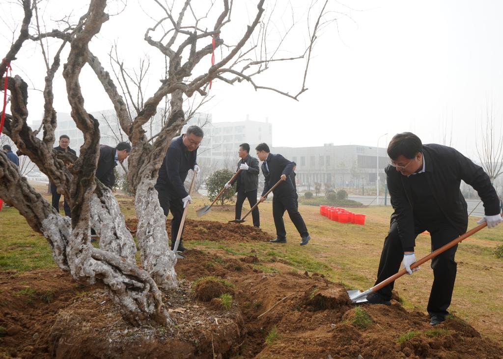 20250312植树8.JPG