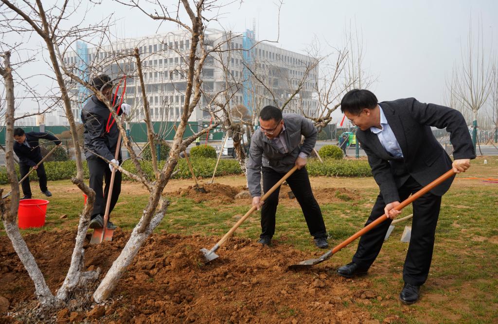20250312植树9.JPG