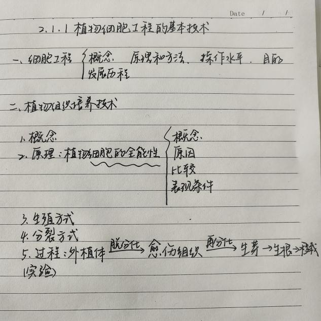 image6.jpeg