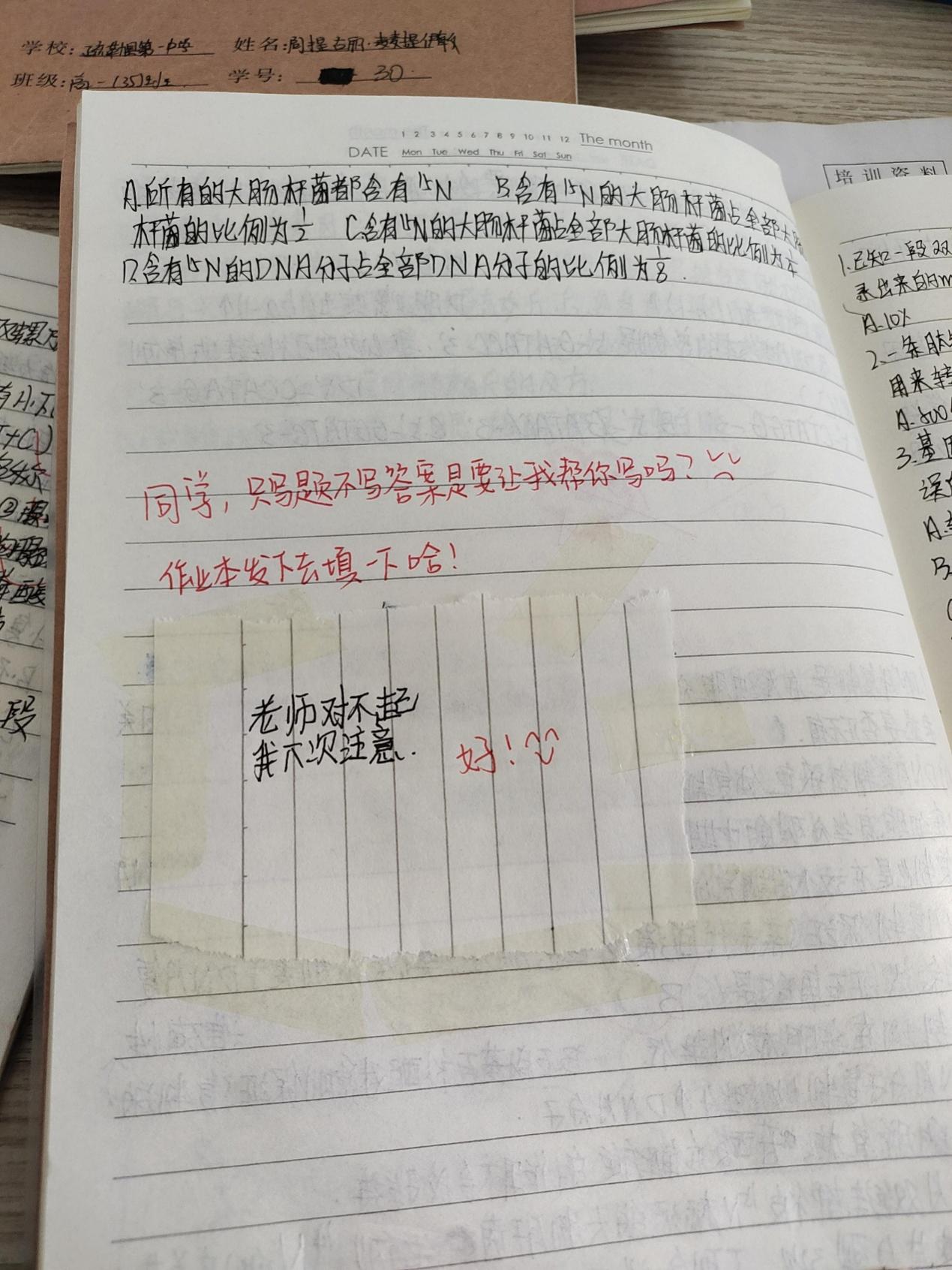 image2.jpeg