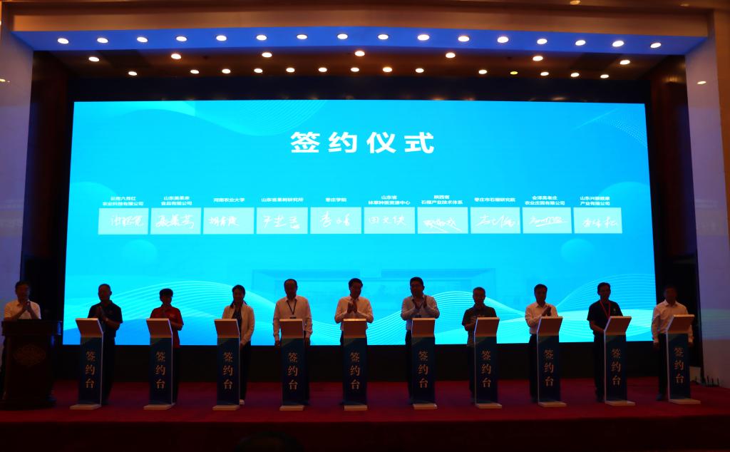 研究中心第一次会议7.JPG